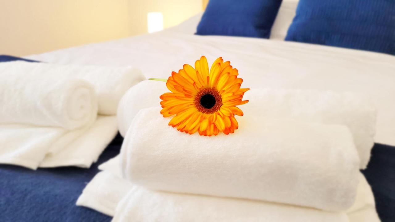 Victoria Apartment - Center Of Ponta Delgada 외부 사진